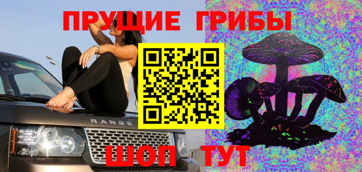 Гудермес  Галлюциногенные грибы GOLDEN TEACHER  Вход с VPN 